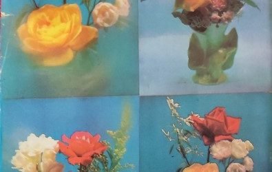 Zarrin Shuwayaen DECEMBER 1990