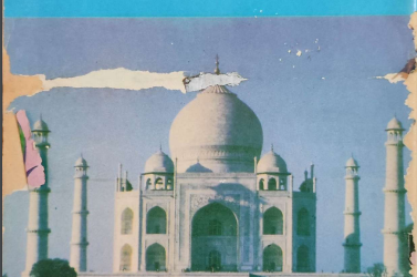 ZARRIN SHUWAYAEN January 1991