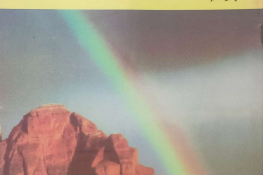 ZARRIN SHUWAYAEN NOVEMBER 1991