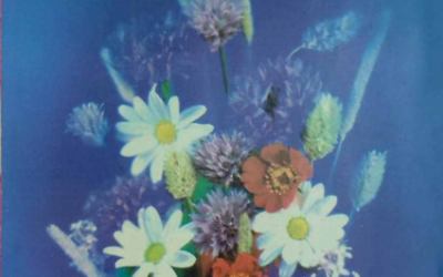 Zarrin Shuwayaen FERUARY 1992