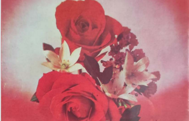 Zarrin Shuwayaen MARCH 1992