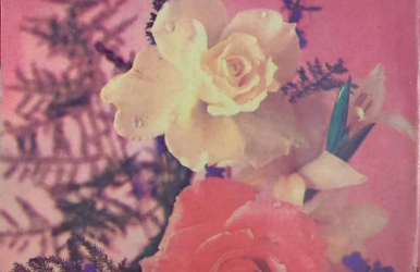 Zarrin Shuwayaen MAY 1992