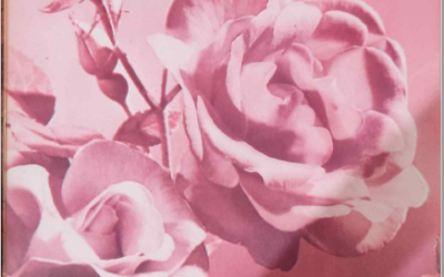 Zarrin Shuwayaen August 1993