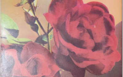 Zarrin Shuwayaen February 1993