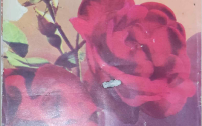 Zarrin Shuwayaen JANUARY 1993