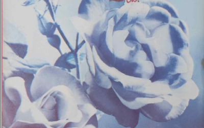 Zarrin Shuwayaen July 1993