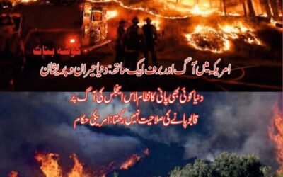 Zarrin Shuwayaen November & December 2024