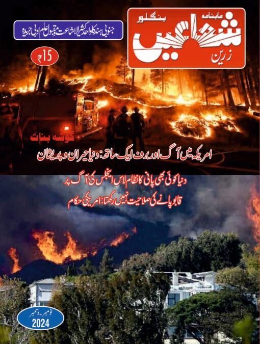 Zarrin Shuwayaen November & December 2024