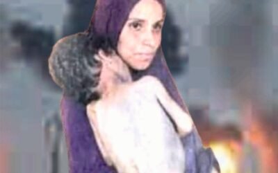 Zarrin Shuwayaen May & June 2025