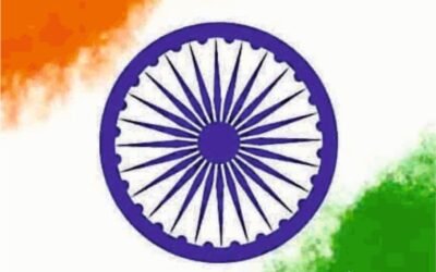 Zarrin Shuwayaen July & August 2025